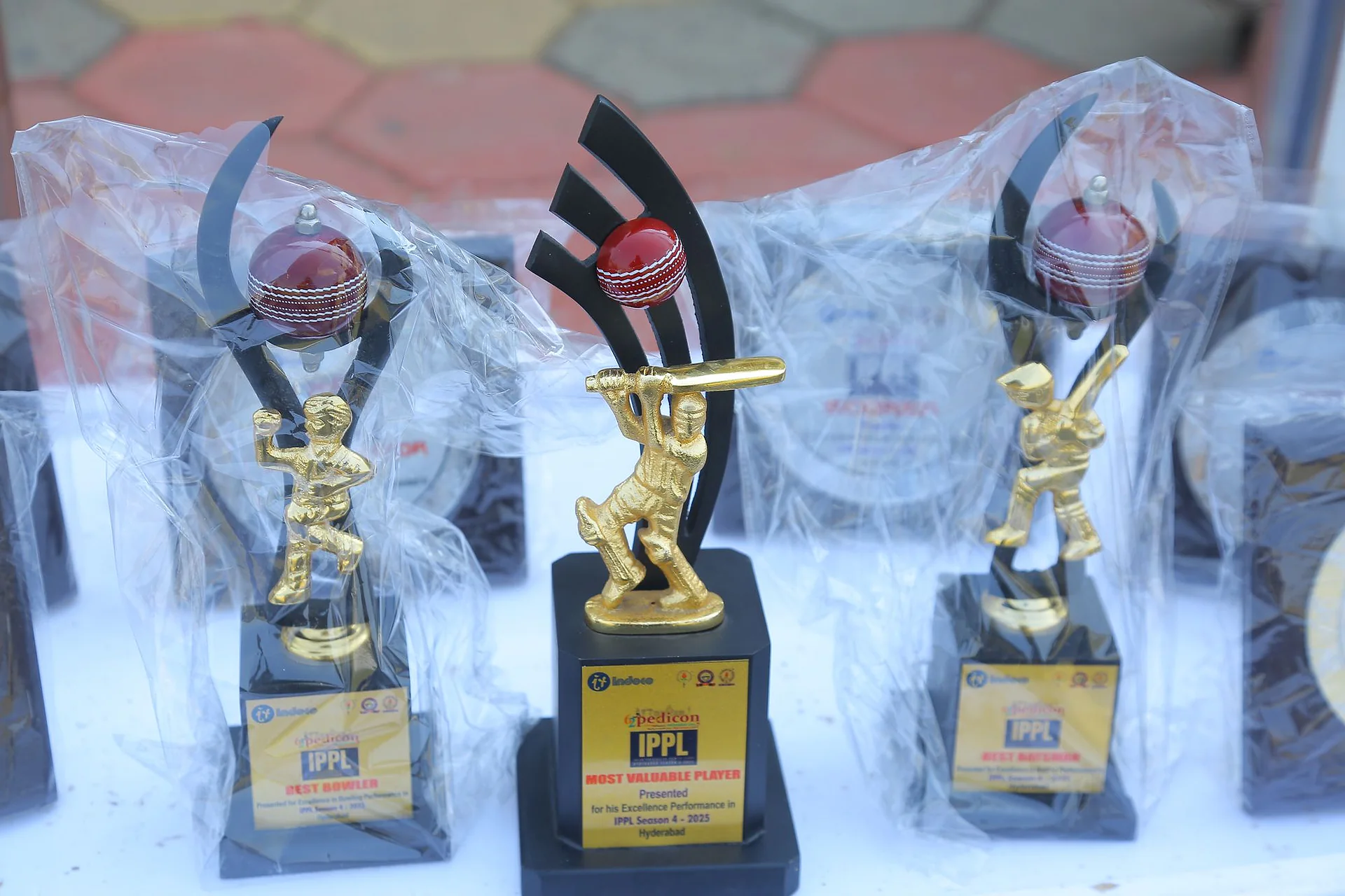 Three cricket trophies on display at the IPPL